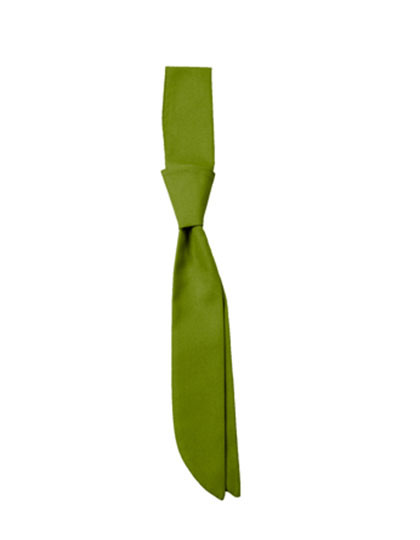 CG Workwear Short Tie Siena Leaf